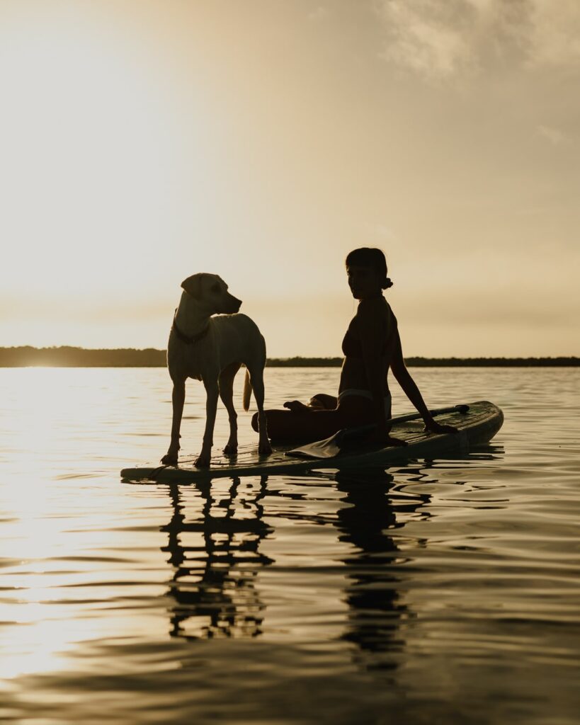 Tour en paddle board al amanecer