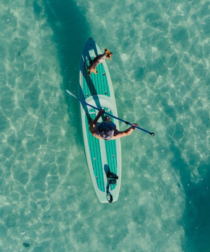 Tour en paddle board al amanecer